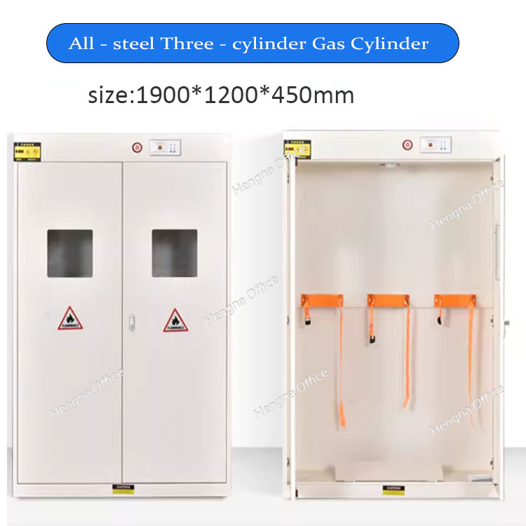 3-QP Physics Chemical Lab Equipment Two Bottles Gas Cylinder Cabinet